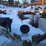 Casa de Férias Til Leie For Ski-vm 2025! I Naerheten Av Vm-arenaen! *