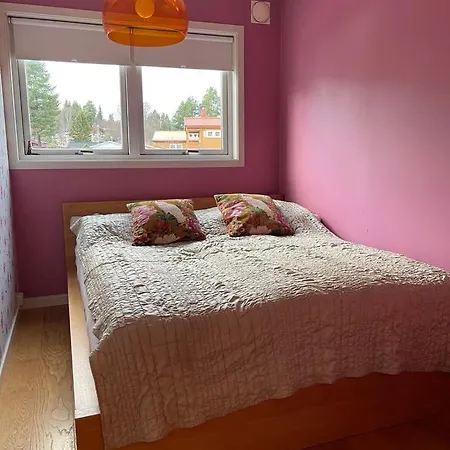 Til Leie For Ski-vm 2025! I Naerheten Av Vm-arenaen!